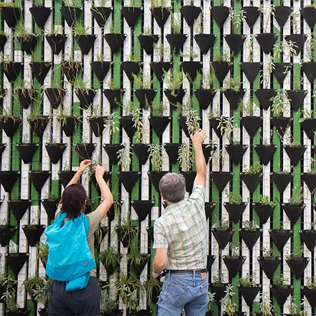 Imagen de personas plantando en un jardín vertical
